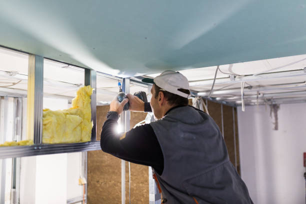 Best Commercial Insulation in Tenino, WA